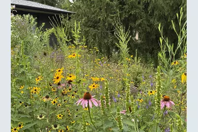 8047 Somerset Road, Woodbury, MN 55125 - Photo 59