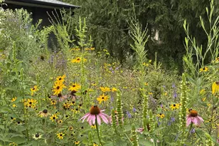 8047 Somerset Rd, Woodbury, MN 55125 - Photo 59