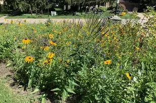 8047 Somerset Rd, Woodbury, MN 55125 - Photo 55