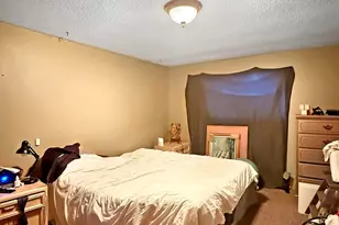 39494 County 4, Lake George Township, MN 56458 - Photo 19