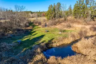 39494 County 4, Lake George Township, MN 56458 - Photo 5