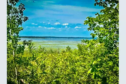 49137 360th Street, New York Mills, MN 56567 - Photo 5