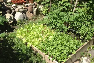 5833 Creek Valley Rd, Edina, MN 55439 - Photo 61