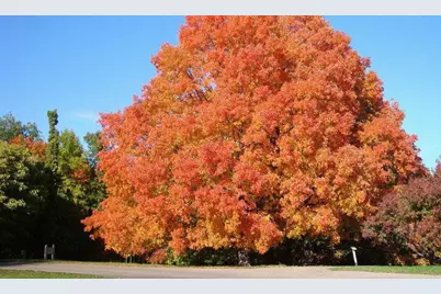 5385 Gestach Lane, Chaska, MN 55318 - Photo 37