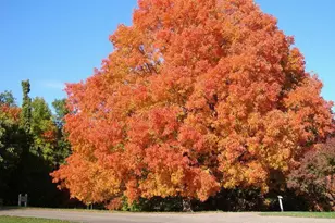 5385 GESTACH LN, Chaska, MN 55318 - Photo 37