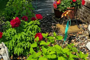 522 Graceview Dr, Saint Joseph, MN 56374 - Photo 37