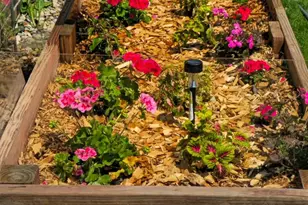 522 Graceview Dr, Saint Joseph, MN 56374 - Photo 35