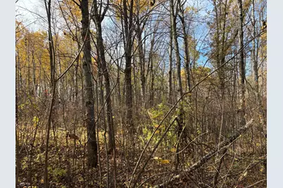 2757 Erickson Road, Kettle River, MN 55757 - Photo 19