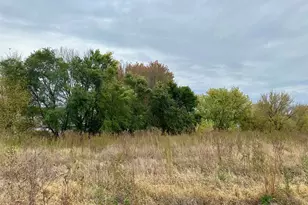 203 Snowdrop Trl, Waconia, MN 55387 - Photo 19