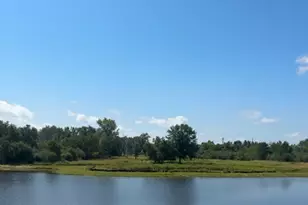 6235 134th St N, Hugo, MN 55038 - Photo 35