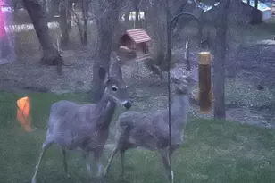 925 E Cavour Ave, Fergus Falls, MN 56537 - Photo 25