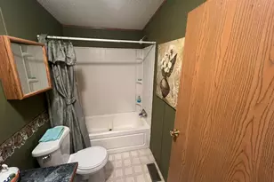 121 3rd St, Bluffton, MN 56518 - Photo 19