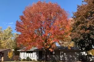 1016 4th St W, Hastings, MN 55033 - Photo 41