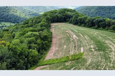 Tbd 728th Street, Lake City, MN 55041 - Photo 11