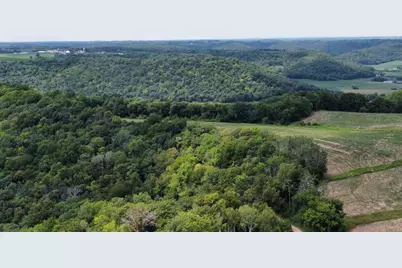 Tbd 728th Street, Lake City, MN 55041 - Photo 15