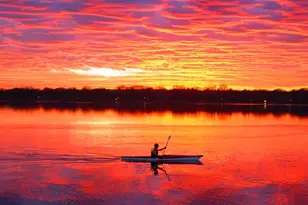 3976 Princeton Ave, Saint Louis Park, MN 55416 - Photo 39