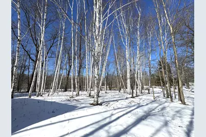 48894 386th Place, Palisade, MN 56469 - Photo 11