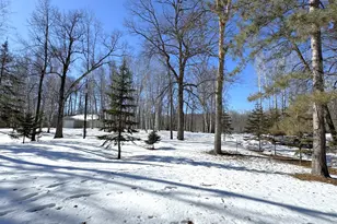 48894 386th Pl, Palisade, MN 56469 - Photo 13