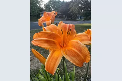 4048 Cinnabar Drive, Eagan, MN 55122 - Photo 55