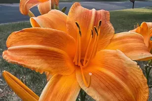 4048 Cinnabar Dr, Eagan, MN 55122 - Photo 55