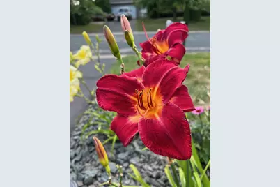 4048 Cinnabar Drive, Eagan, MN 55122 - Photo 53