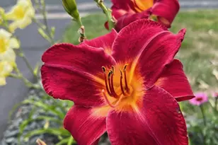 4048 Cinnabar Dr, Eagan, MN 55122 - Photo 53