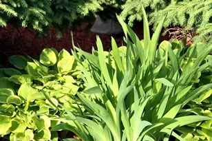 4048 Cinnabar Dr, Eagan, MN 55122 - Photo 51