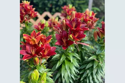 4048 Cinnabar Drive, Eagan, MN 55122 - Photo 57