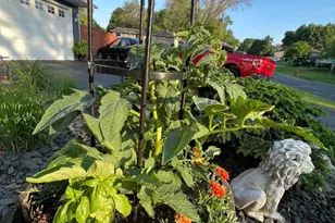 4048 Cinnabar Dr, Eagan, MN 55122 - Photo 49