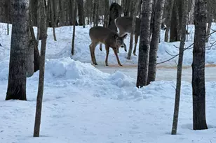 16083 Pahkala Rd, Finlayson, MN 55735 - Photo 39