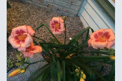 1000 Heritage Lane, Orono, MN 55391 - Photo 15