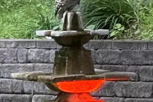 1000 Heritage Ln, Orono, MN 55391 - Photo 29