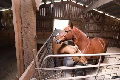 53253 W Grindstone Road, Sandstone, MN 55072 - Photo 19