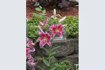 4391 Bridgewater Road, South Haven, MN 55382 - Photo 9