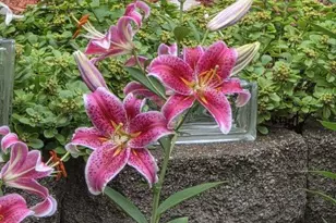 4391 Bridgewater Rd, South Haven, MN 55382 - Photo 9