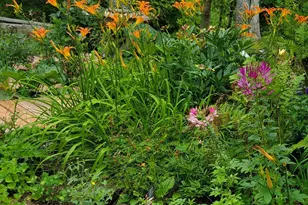 1966 Long Lake Ct, Comstock, WI 54826 - Photo 43