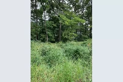 Tbd 728th Street, Lake City, MN 55041 - Photo 9