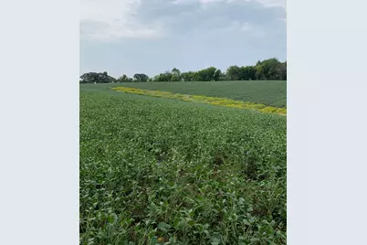 Tbd 728th Street, Lake City, MN 55041 - Photo 5