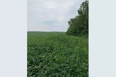 Tbd 728th Street, Lake City, MN 55041 - Photo 7