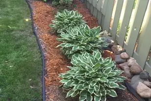 2007 Summit Dr, Saint Cloud, MN 56303 - Photo 71