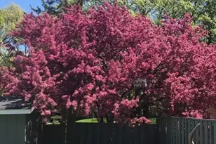 2007 Summit Dr, Saint Cloud, MN 56303 - Photo 73