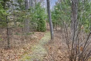 15193 Wilderness Trail, Crosslake, MN 56442 - Photo 53