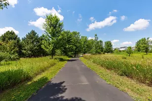 14224 Aldborough Ave, Rosemount, MN 55068 - Photo 51