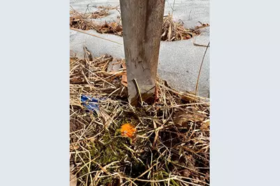 16814 140th Avenue, Milaca, MN 56353 - Photo 17