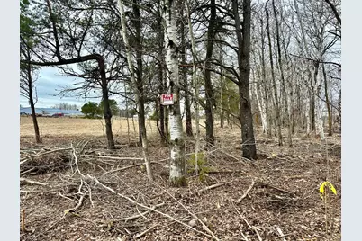 Tbd SE 11th Street, Menahga, MN 56464 - Photo 5