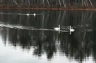 29746 382nd Pl, Aitkin, MN 56431 - Photo 37