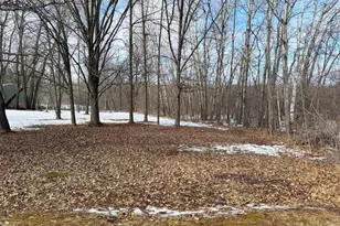 18500 Bogie Bay, Garrison, MN 56450 - Photo 39