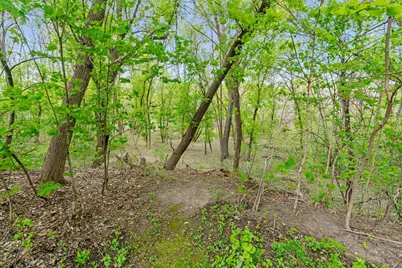 445 Bovey Road, Wayzata, MN 55391 - Photo 5