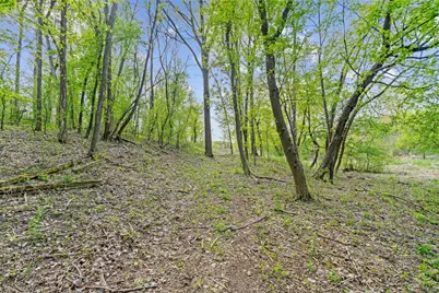 445 Bovey Road, Wayzata, MN 55391 - Photo 17
