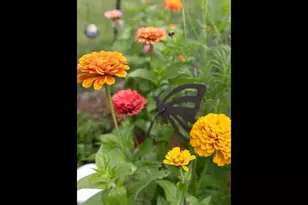 30751 Wallmark Lake Dr, Chisago City, MN 55013 - Photo 41